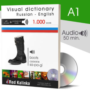 Visual dictionary with audio: Russian-English (paper)